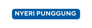 nyeri punggung